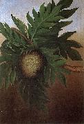 unknow artist Hawaiian Breadfruit, oil on canvas painting by Persis Goodale Thurston Taylor, c. 1890 oil painting on canvas